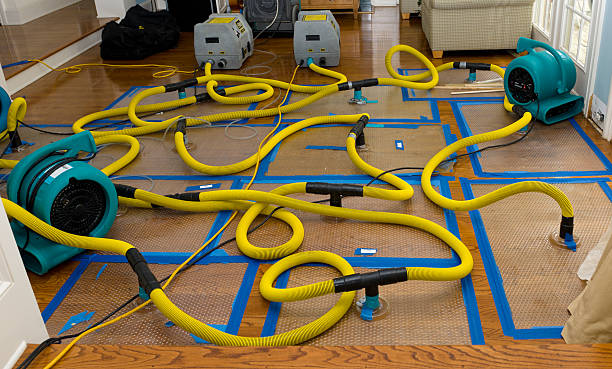 Professional Sewage Cleanup technician working in Compton, CA